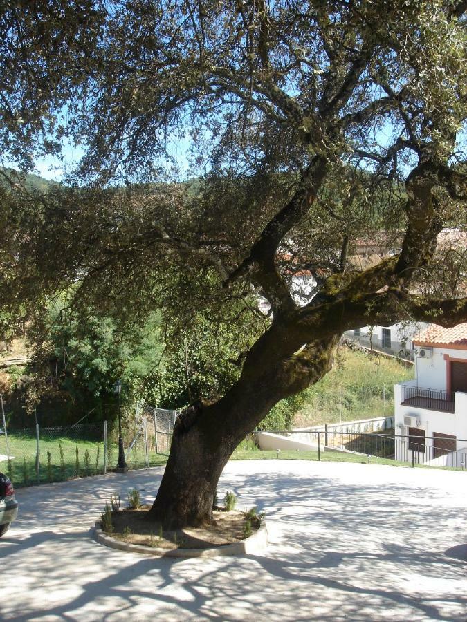 Ocio Aventura Rural